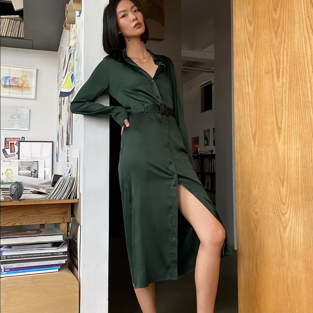 Aritzia Babaton Amory Dress